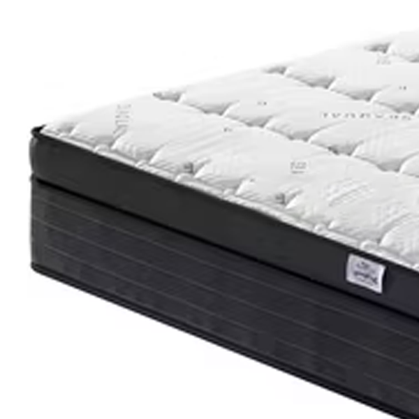 Aloe Vera ORTHO 9 inch Foam Mattress